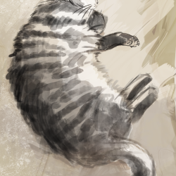 Loose sketch